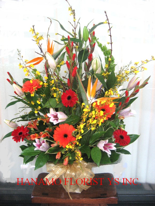 CONG002 Colourful Arrangement ML